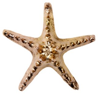 Gold-Plated Knobby Starfish