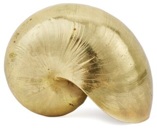 Gold-Plated Chamber Nautilus Shell